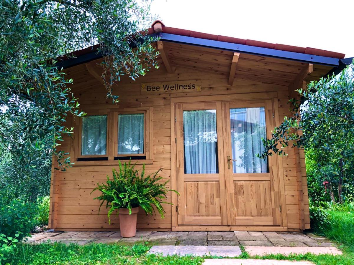 Beehouse - La Casa Delle Api Agriturismo Borso del Grappa Ngoại thất bức ảnh